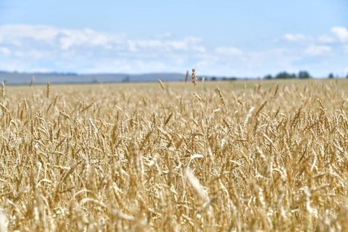 В Туве проведут комплексную инвентаризацию оросительных систем