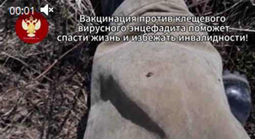 В Туве за неделю выявлено два случая присасывания клещей