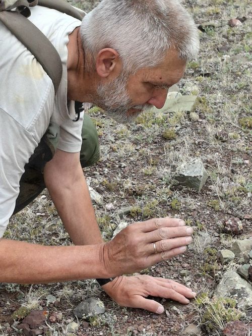 В Туве ищут арктических обитателей: экспедиция в Монгун-Тайгу