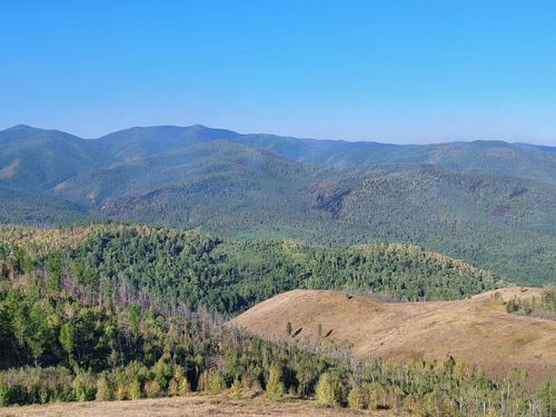В Тандинском районе отменен режим ЧС в лесах
