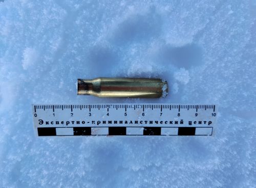 Житель Тувы, случайно застреливший человека на охоте, предстанет перед судом