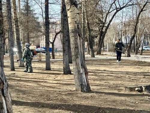 Халдавырлыг саргы энцефалидинге удур профилактика хемчеглерин күштелдир