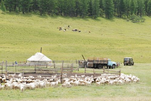 Губернаторские проекты «Кыштаг для молодой семьи» и «Чаа сорук» частично завершают свою реализацию