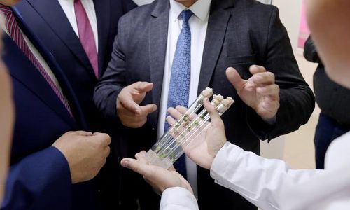 В Новосибирской области прошло заседание рабочей группы по развитию АПК Сибири