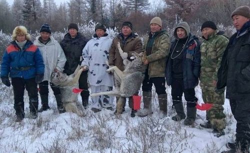 Кокай санын өйлээр дээш шалыпчы айны чарлаан