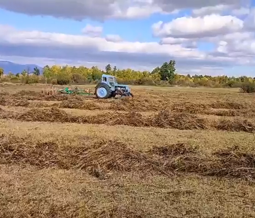 В Улуг-Хемском районе кормозаготовительная кампания подходит к завершению