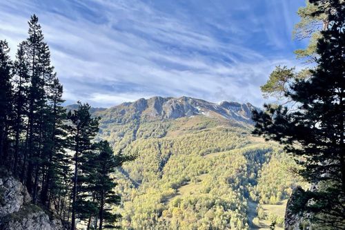 В России появился первый экофонд