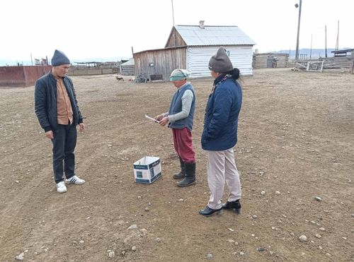 В Туве продолжаются рейды по пресечению бесконтрольного выпаса скота