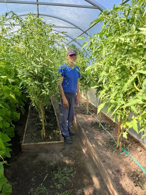 Андрей Баир: с поля боя на поле огородное