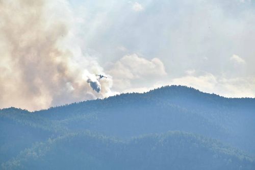 В Туве за минувшие сутки ликвидировано 3 пожара на площади 418,5 га