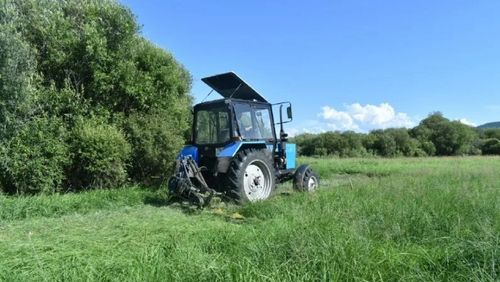 В Туве стартовал месячник кормозаготовки