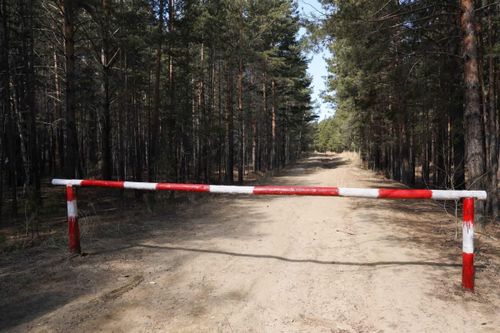 В Туве действует особый противопожарный режим: за нарушение правил может грозить штраф от 40 до 500 тысяч рублей