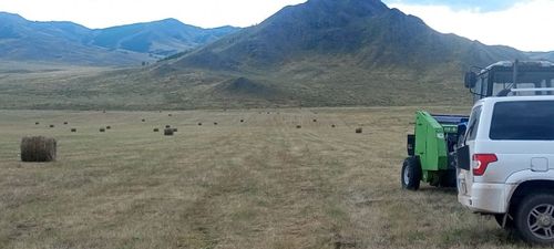 В Дзун-Хемчикском районе активно идет заготовка кормов