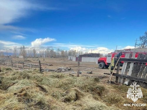 В Барун-Хемчикском районе дети из шалости сожгли 12 тонн сена