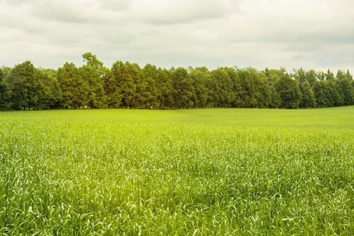 В Улуг-Хемском районе подвели промежуточные итоги кормозаготовительной кампании