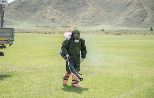 В Туве карантин на месте вспышки заболевания сибирской язвой продлен до 30 июля