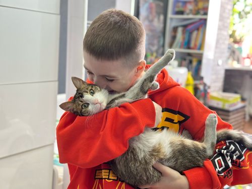 Сотрудница «Россети Сибирь Тываэнерго» спасла и приютила бездомного кота