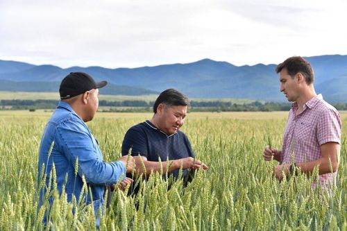 Владислав Ховалыг: "Наша республика методично наращивает посевные площади"