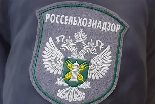 Проверки на границе: итоги работы Россельхознадзора за 2024 год