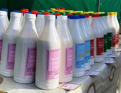 «Аржаан» көдээ ажыл-агый кооперативиниң удуртукчузунга акша сертификадын тывыскан