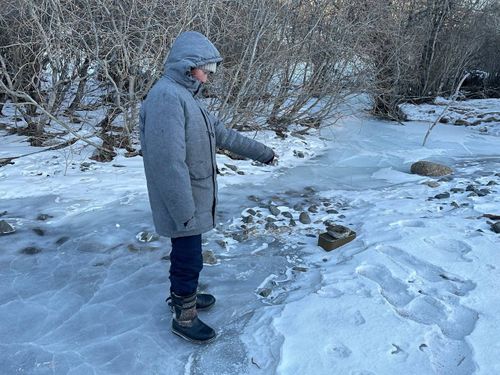 Пограничники Тувы задержали преступника, планировавшего украсть скот за границей