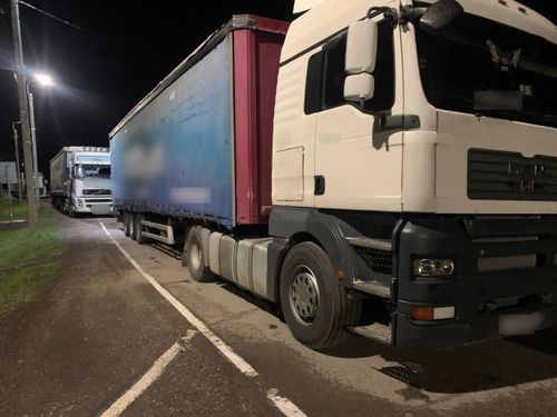 На посту «Шивилиг» пресекли перевозку скота без документов