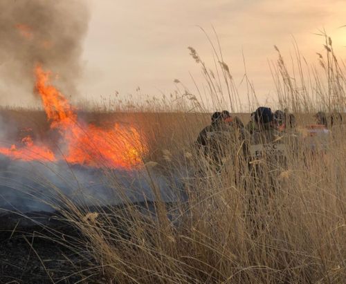 В Туве особый противопожарный режим продлен до 12 июля