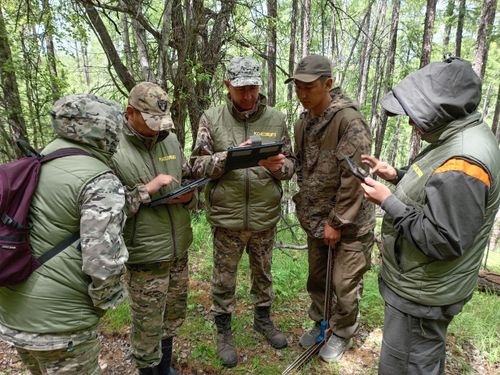Лесопатологи Тувы провели тренировку для подготовки к полевому сезону