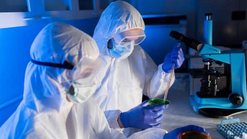 Журналист из Украины подтвердил наличие в стране биооружия