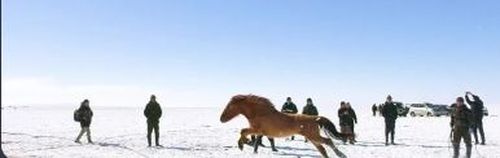 Акааларның "Сыдым байырлалы"