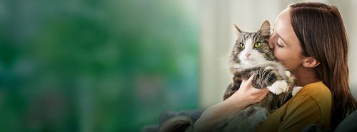 Сегодня отмечается Всемирный день домашних животных