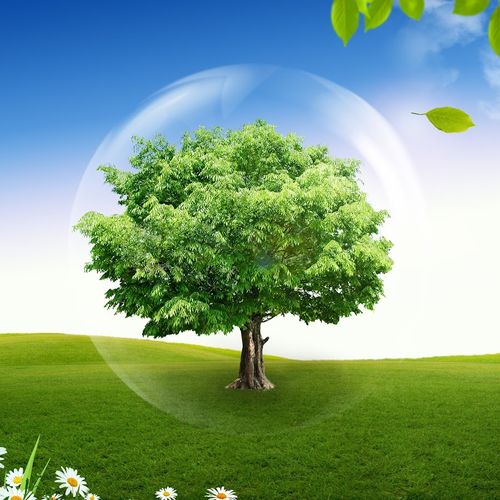 Сегодня отмечается экологический праздник - Всемирный день окружающей среды