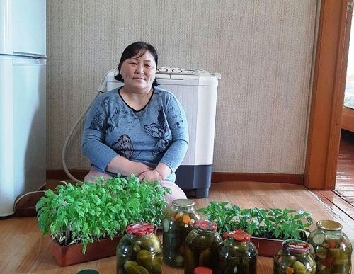 Өг-бүлениң шыгжамыры: Артыкшылдыг дүжүдүн чогумчалыг өртекке саткан