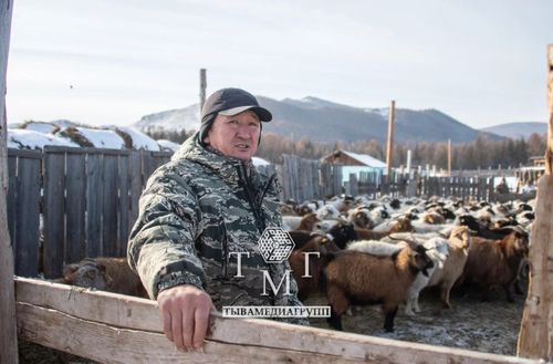 От юриспруденции к земле и добру. История Айбека Монгуша — фермера с большим сердцем