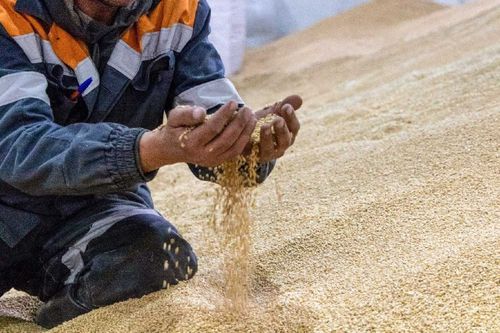 В Туве впервые пройдет съезд сельхозкооперативов