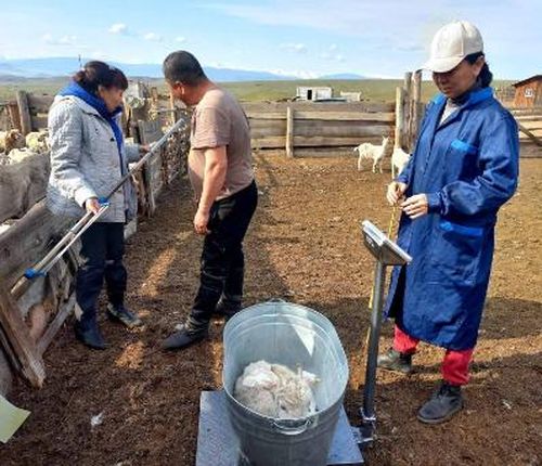 В Туве определили лауреатов премии Главы республики 2023 года в области науки и техники