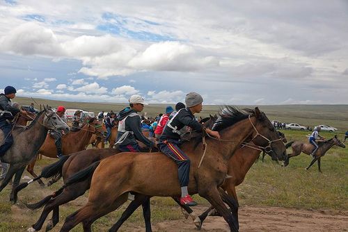 В Туве перед судом предстанет руководитель Федерации конного спорта Чеди-Хольского района