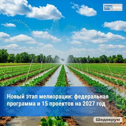 ️ В Туве реализуется новой механизм субсидирования мелиорации в рамках федеральной программы