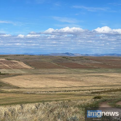 Потери аграриев Тувы от засухи оценены в 70,5 млн рублей