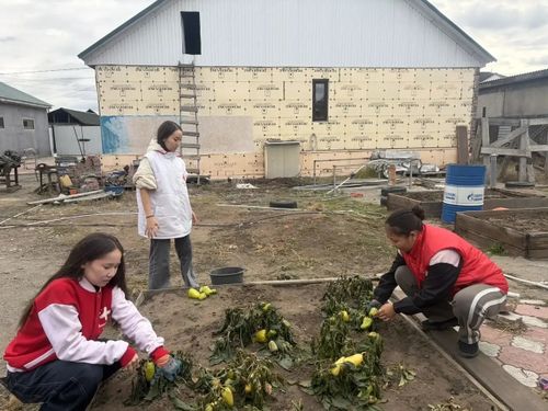 Волонтёры-медики оказали адресную помощь семье