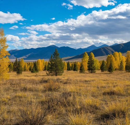 В Туве дневные температуры достигнут +5°C, ожидаются ночные похолодания