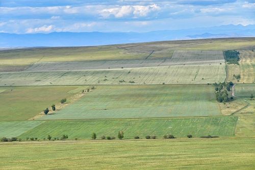 Бүрүткеттинмээн көдээ ажыл-агый черлериниң ээлерин кадастр бүрүткелинге кииртип алыр кылдыр чалап тур