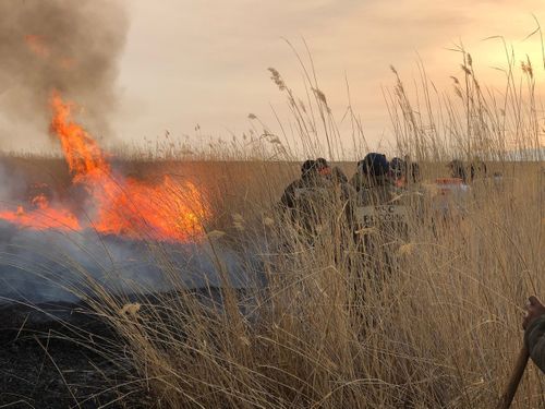 В Туве особый противопожарный режим продлен до 17 июня