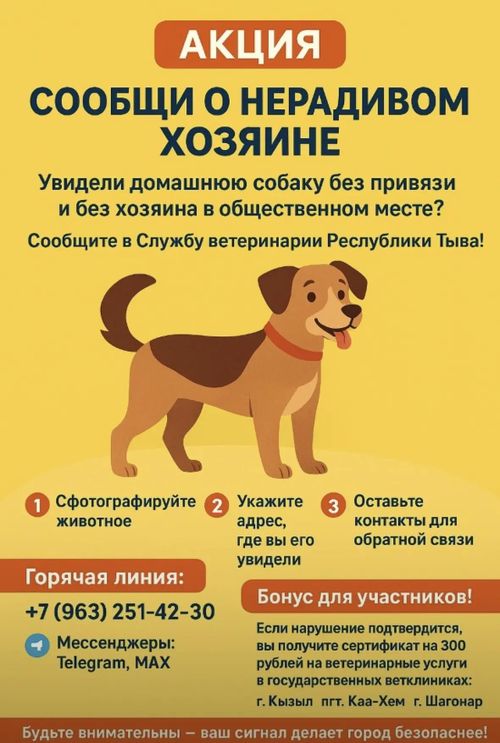 В Туве стартует социальная акция «Сообщи о нерадивом хозяине»
