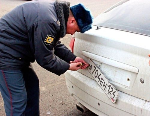 В МВД предложили сделать обязательным триколор на автомобильных номерах
