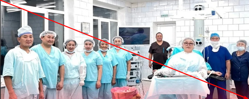 «Мээң эмчим» төлевилел-биле медицина ажылдакчыларын деткээн хемчеглерни көргүзүп турар