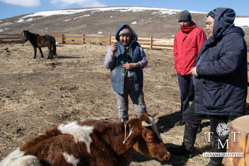 Министерство сельского хозяйства Тувы устанавливает причину падежа крупного рогатого скота в Кызылском районе
