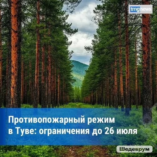 Особый противопожарный режим в Туве продлён до 26 июля