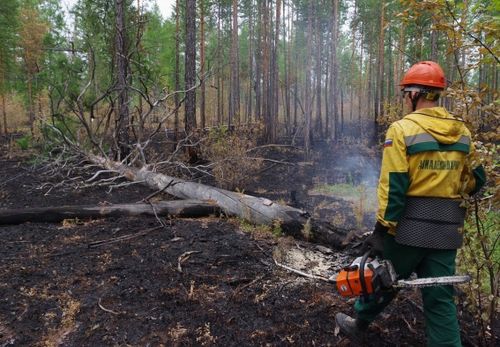 В Туве борются с 16 лесными пожарами. Их общая площадь — 26,6 тысячи гектаров