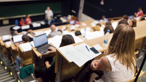 Названы самые популярные направления у абитуриентов в 2023 году